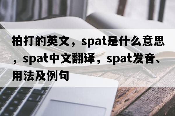 拍打的英文，spat是什么意思，spat中文翻譯，spat發(fā)音、用法及例句
