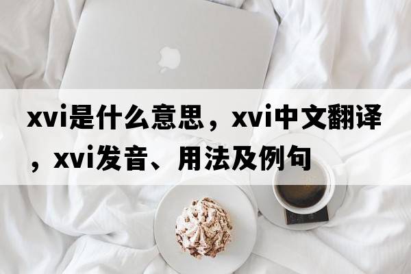 xvi是什么意思，xvi中文翻譯，xvi發(fā)音、用法及例句