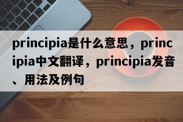 principia是什么意思，principia中文翻譯，principia發(fā)音、用法及例句