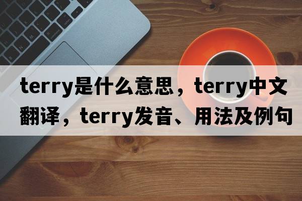 terry是什么意思，terry中文翻譯，terry發(fā)音、用法及例句