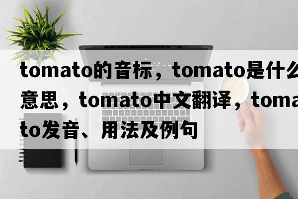 tomato的音標，tomato是什么意思，tomato中文翻譯，tomato發(fā)音、用法及例句