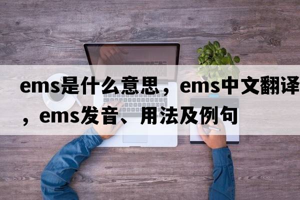 EMS是什么意思，EMS中文翻譯，EMS發(fā)音、用法及例句