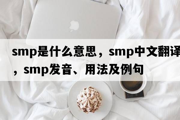 SMP是什么意思，SMP中文翻譯，SMP發(fā)音、用法及例句