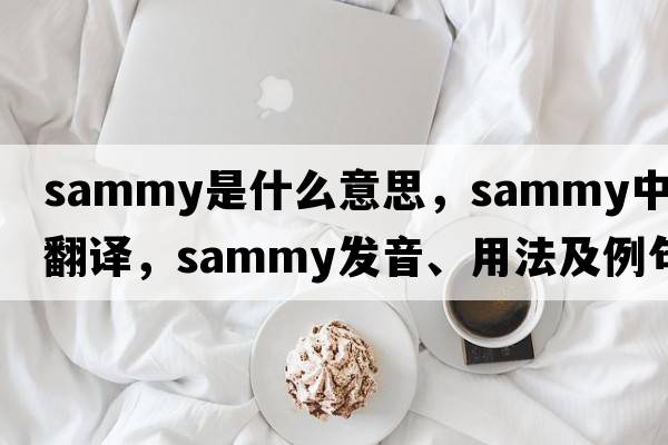 sammy是什么意思，sammy中文翻譯，sammy發(fā)音、用法及例句