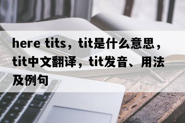 here tits，tit是什么意思，tit中文翻譯，tit發(fā)音、用法及例句