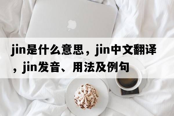 jin是什么意思，jin中文翻譯，jin發(fā)音、用法及例句