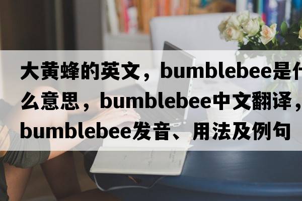 大黃蜂的英文，bumblebee是什么意思，bumblebee中文翻譯，bumblebee發(fā)音、用法及例句