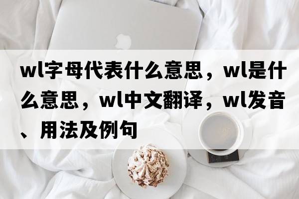 wl字母代表什么意思，wl是什么意思，wl中文翻譯，wl發(fā)音、用法及例句