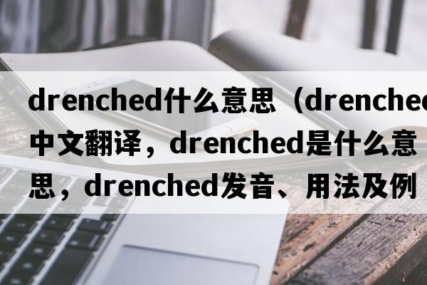 drenched什么意思（drenched中文翻譯，drenched是什么意思，drenched發(fā)音、用法及例句）