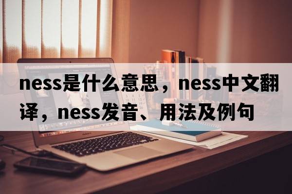 ness是什么意思，ness中文翻譯，ness發(fā)音、用法及例句