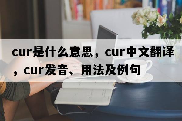 cur是什么意思，cur中文翻譯，cur發(fā)音、用法及例句