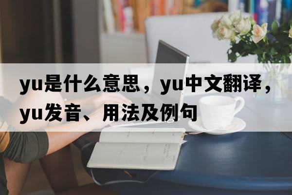 yu是什么意思，yu中文翻譯，yu發(fā)音、用法及例句