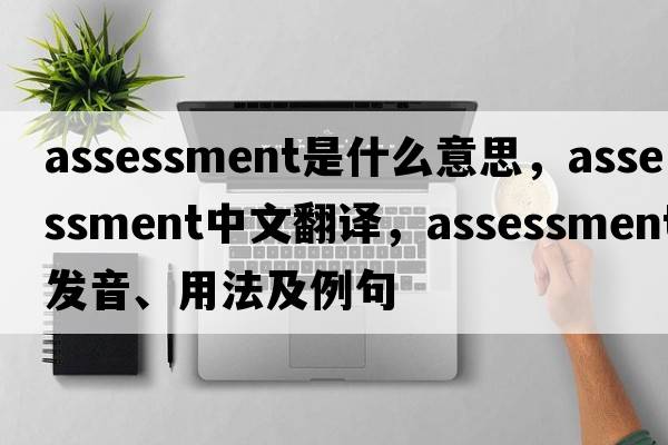 assessment是什么意思，assessment中文翻譯，assessment發(fā)音、用法及例句