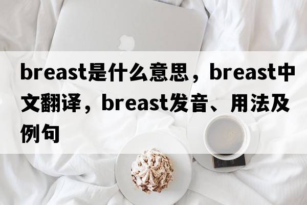 breast是什么意思，breast中文翻譯，breast發(fā)音、用法及例句