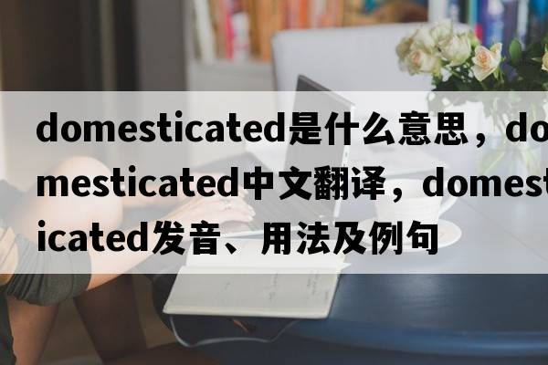 domesticated是什么意思，domesticated中文翻譯，domesticated發(fā)音、用法及例句