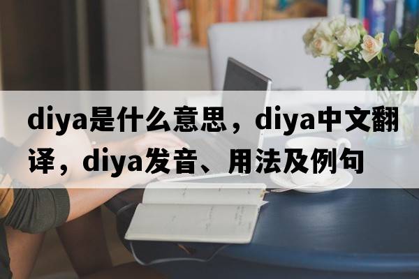 diya是什么意思，diya中文翻譯，diya發(fā)音、用法及例句