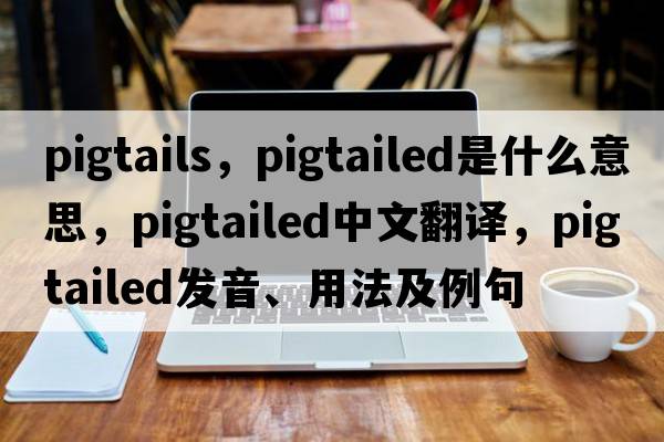 pigtails，pigtailed是什么意思，pigtailed中文翻譯，pigtailed發(fā)音、用法及例句