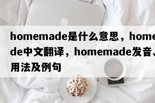 homemade是什么意思，homemade中文翻譯，homemade發(fā)音、用法及例句