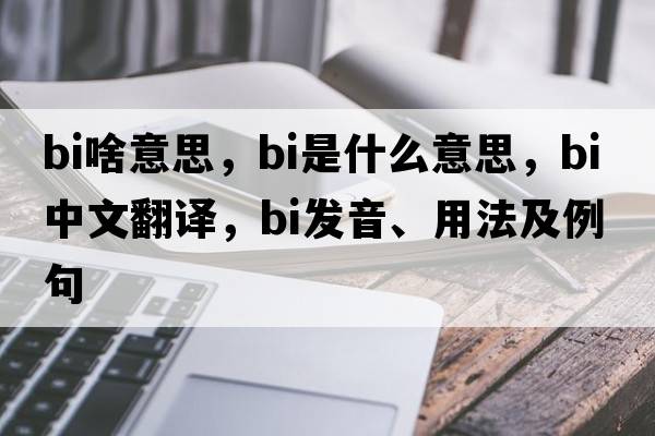 bi啥意思，BI是什么意思，BI中文翻譯，BI發(fā)音、用法及例句