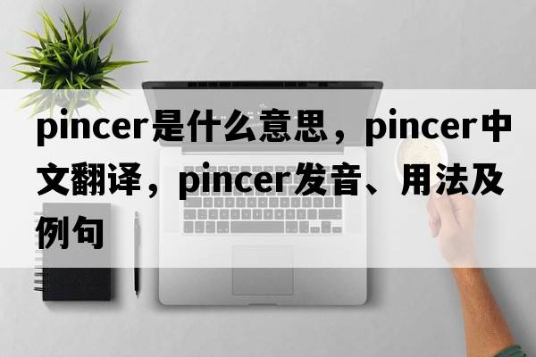 pincer是什么意思，pincer中文翻譯，pincer發(fā)音、用法及例句