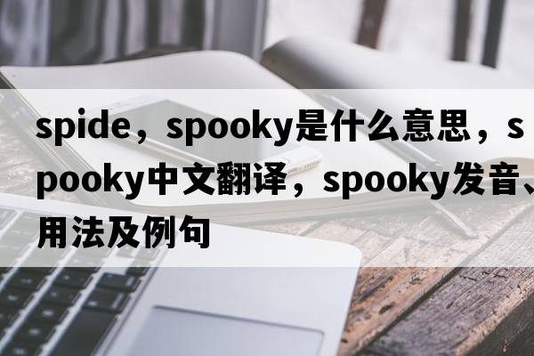 spide，spooky是什么意思，spooky中文翻譯，spooky發(fā)音、用法及例句