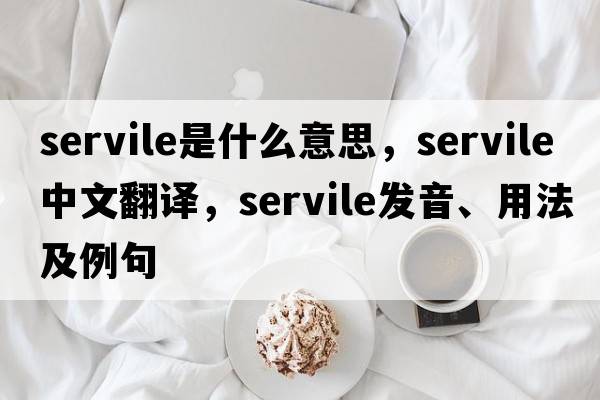 servile是什么意思，servile中文翻譯，servile發(fā)音、用法及例句