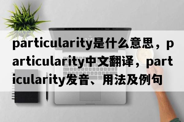 particularity是什么意思，particularity中文翻譯，particularity發(fā)音、用法及例句