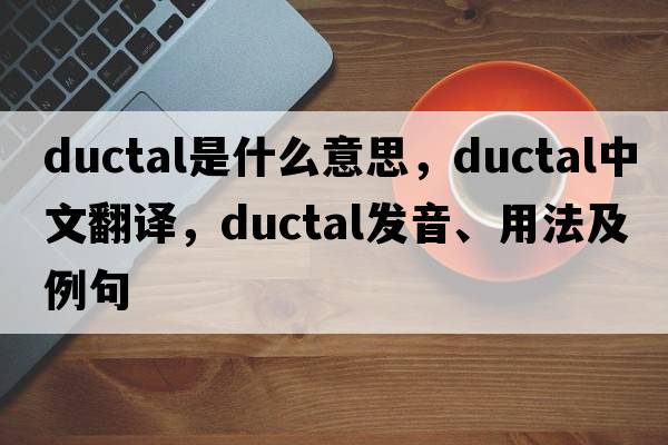 ductal是什么意思，ductal中文翻譯，ductal發(fā)音、用法及例句