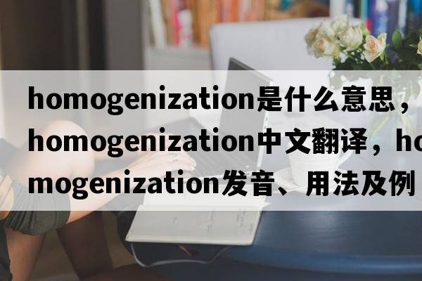 homogenization是什么意思，homogenization中文翻譯，homogenization發(fā)音、用法及例句