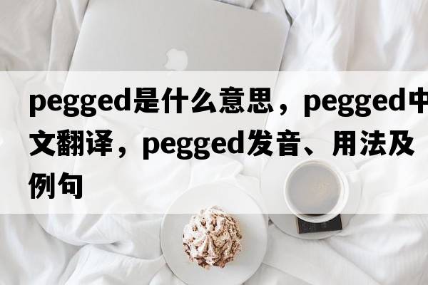 pegged是什么意思，pegged中文翻譯，pegged發(fā)音、用法及例句