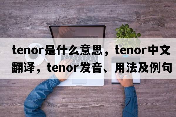 tenor是什么意思，tenor中文翻譯，tenor發(fā)音、用法及例句