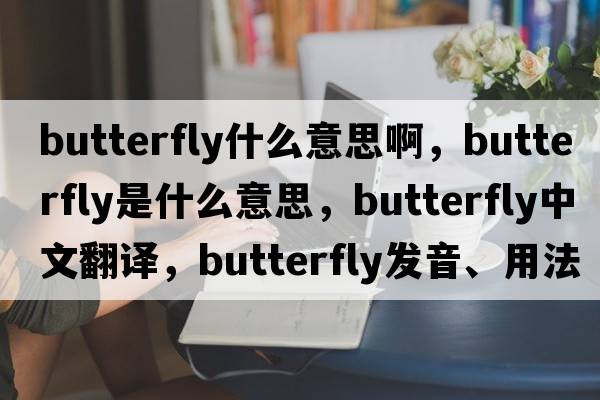 butterfly什么意思啊，butterfly是什么意思，butterfly中文翻譯，butterfly發(fā)音、用法及例句