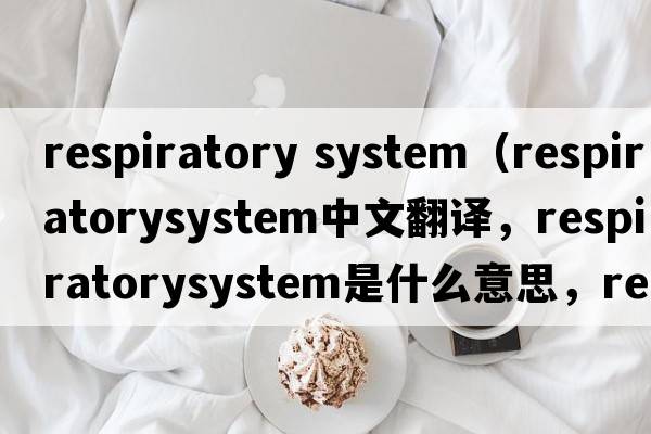 respiratory system（respiratorysystem中文翻譯，respiratorysystem是什么意思，respiratorysystem發(fā)音、用法及例句）