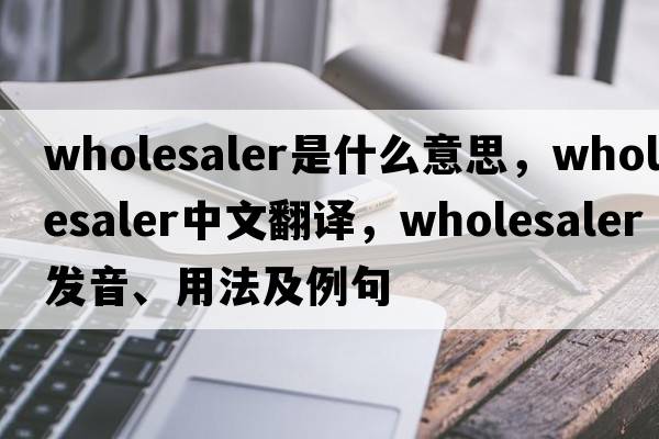 wholesaler是什么意思，wholesaler中文翻譯，wholesaler發(fā)音、用法及例句