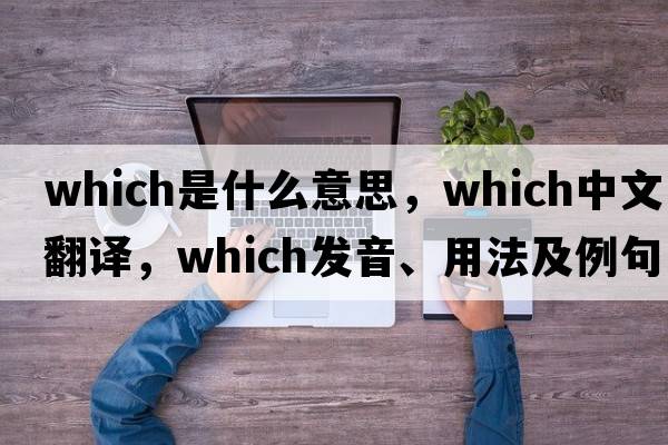 which是什么意思，which中文翻譯，which發(fā)音、用法及例句