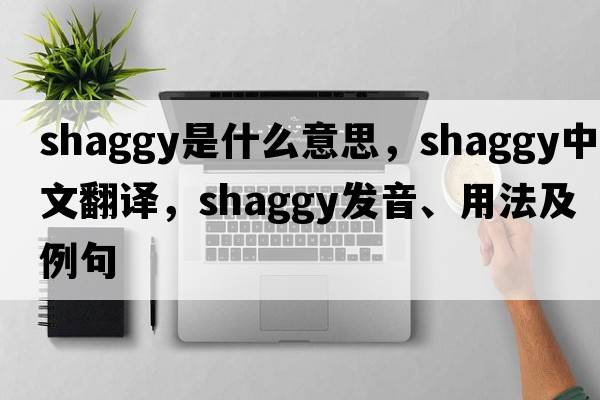 shaggy是什么意思，shaggy中文翻譯，shaggy發(fā)音、用法及例句