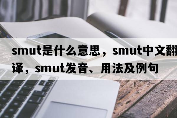 smut是什么意思，smut中文翻譯，smut發(fā)音、用法及例句