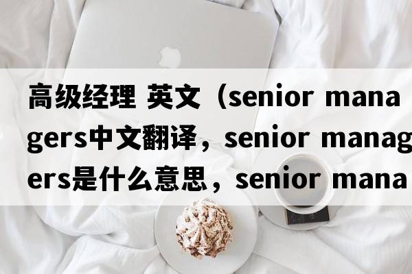 高級經(jīng)理 英文（senior managers中文翻譯，senior managers是什么意思，senior managers發(fā)音、用法及例句）