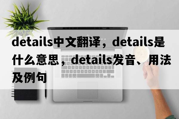 details中文翻譯，details是什么意思，details發(fā)音、用法及例句