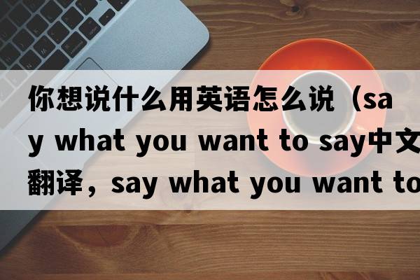 你想說(shuō)什么用英語(yǔ)怎么說(shuō)（say what you want to say中文翻譯，say what you want to say是什么意思，say what you want to say發(fā)音、用法