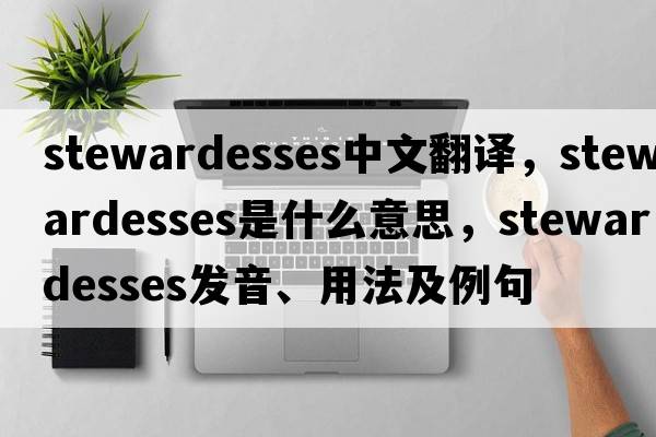 stewardesses中文翻譯，stewardesses是什么意思，stewardesses發(fā)音、用法及例句