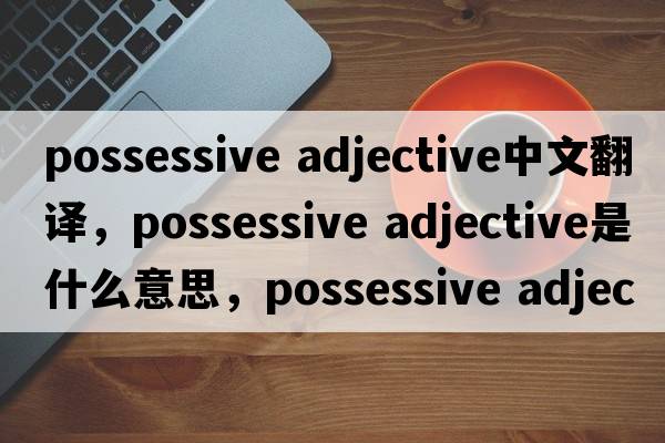 possessive adjective中文翻譯，possessive adjective是什么意思，possessive adjective發(fā)音、用法及例句