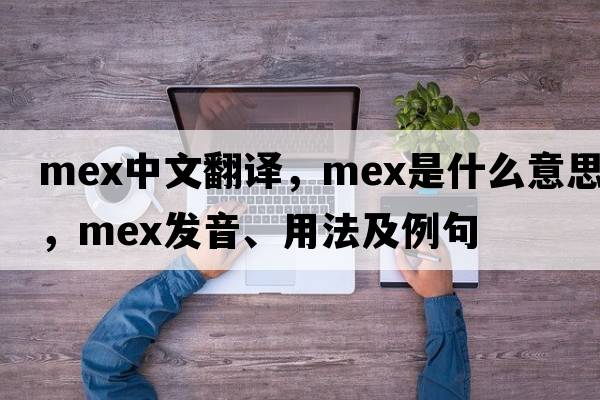 mex中文翻譯，mex是什么意思，mex發(fā)音、用法及例句