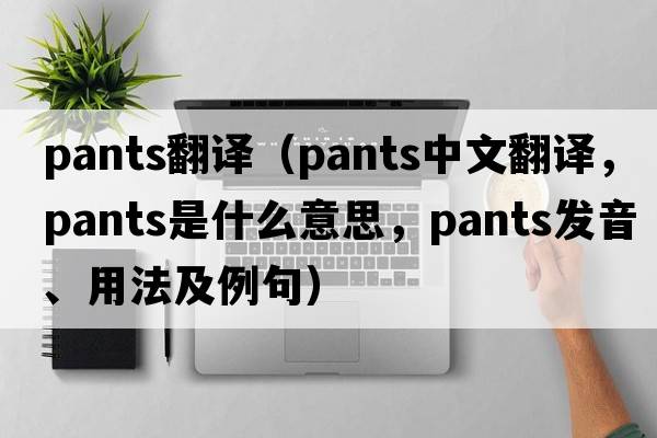 pants翻譯（pants中文翻譯，pants是什么意思，pants發(fā)音、用法及例句）