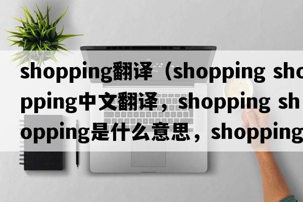 shopping翻譯（shopping shopping中文翻譯，shopping shopping是什么意思，shopping shopping發(fā)音、用法及例句）