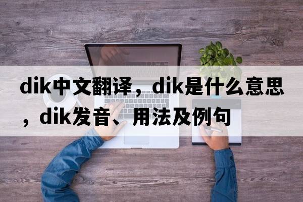 dik中文翻譯，dik是什么意思，dik發(fā)音、用法及例句