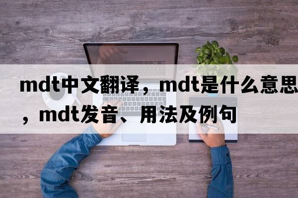 mdt中文翻譯，mdt是什么意思，mdt發(fā)音、用法及例句