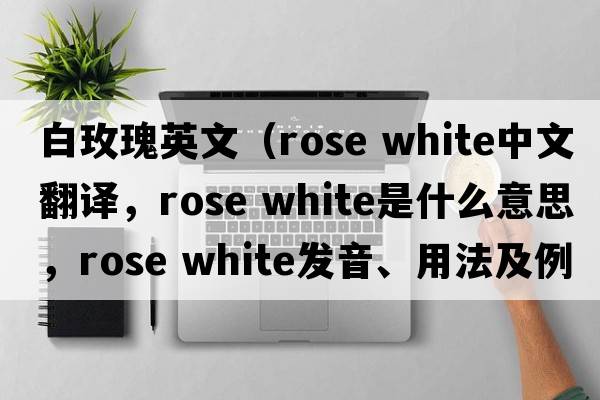 白玫瑰英文（rose white中文翻譯，rose white是什么意思，rose white發(fā)音、用法及例句）