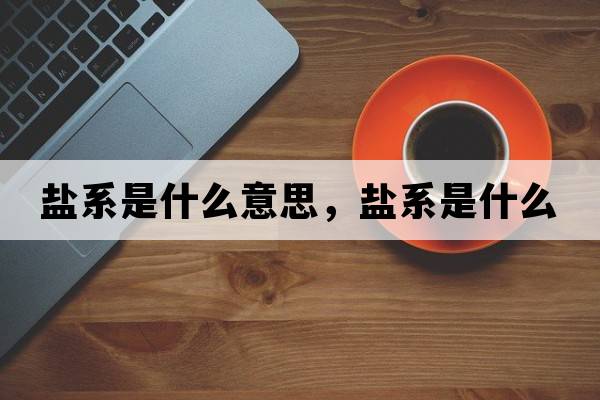 鹽系是什么意思，鹽系是什么