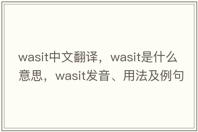 Wasit中文翻譯，Wasit是什么意思，Wasit發(fā)音、用法及例句